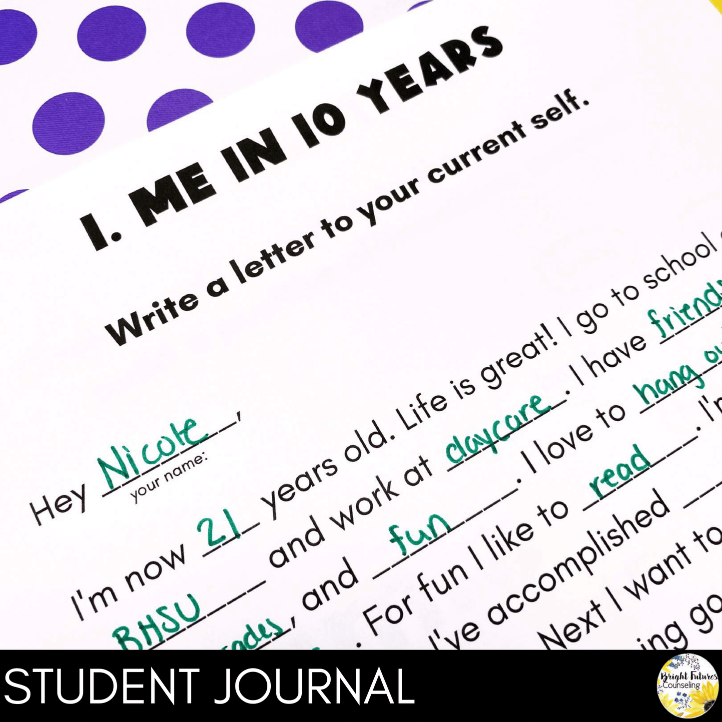 Self-Esteem Individual Counseling Curriculum + Data Tracking Tools