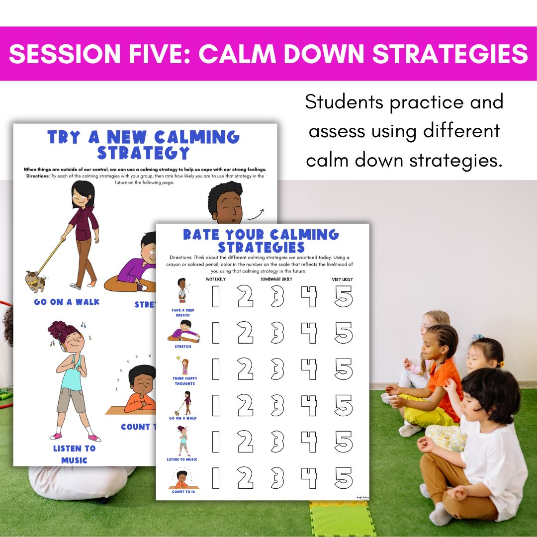 Circle of Control Small Group for Stress and Anxiety - Elementary